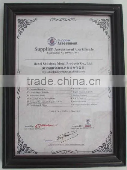 Powder Coated Black Stainless Steel Screen for Window