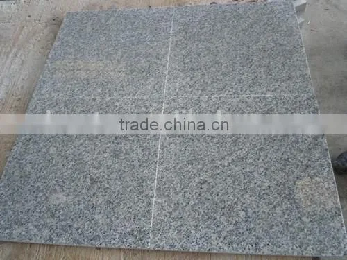 Popular Chinese Light Grey Granite Tiles G602