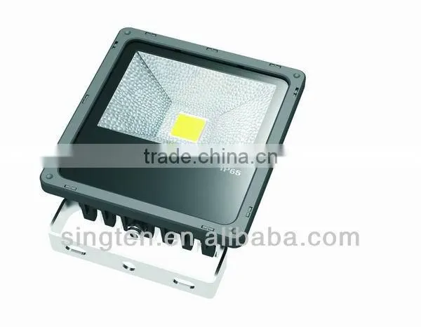 Bridgelux & Mean Well Driver 10w-200w IP65 LED Flood light