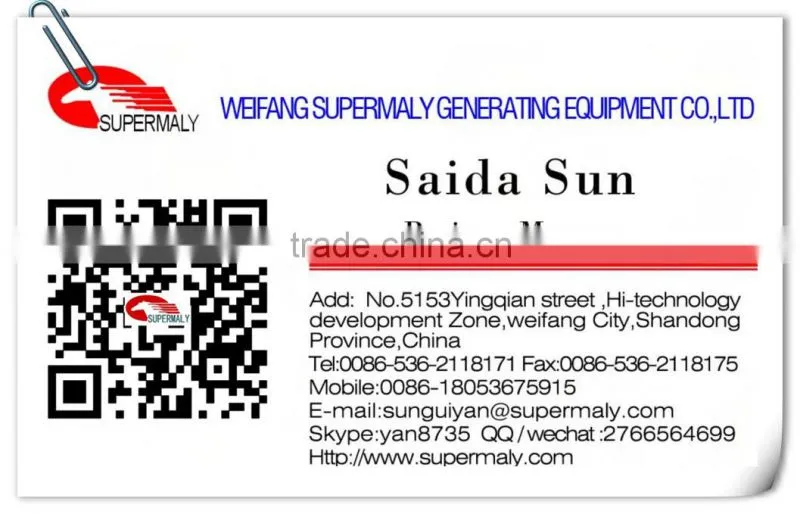 CE Approved industrial gas genset for sale!