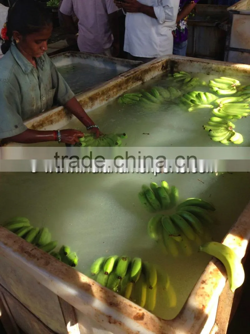 Fresh Cavendish Banana