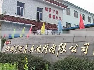 Ningbo Lumei Gas Burner Valve Co., Ltd. company overview - view 1
