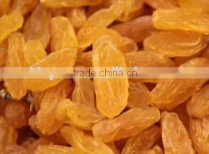 We are supply dried golden raisin, high quality dried raisin for sale