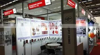 Shijiazhuang Casiting Trading Co., Ltd. company overview - view 3