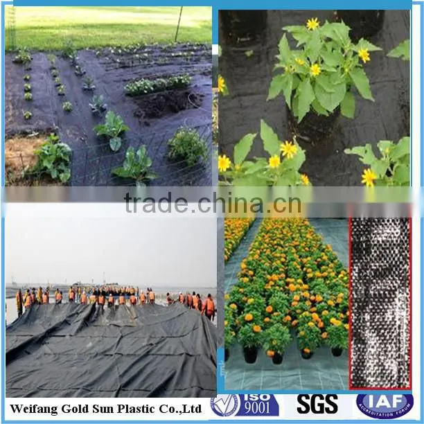 PP WOVEN GROUND COVER/WEED BARRIER/NEEDLE PUNCHED FABRIC/PP WOVEN GEOTEXTILES