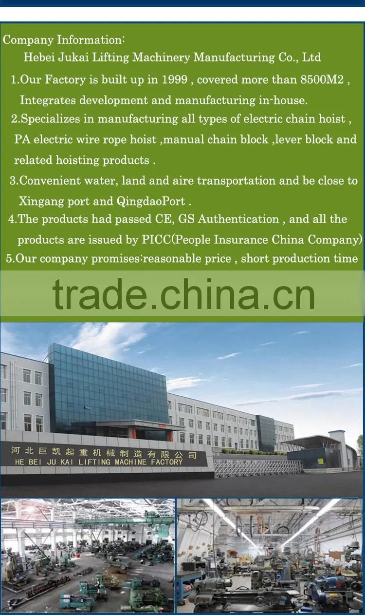 futaba chain hoist chain hoist distributor electric chain hoist
