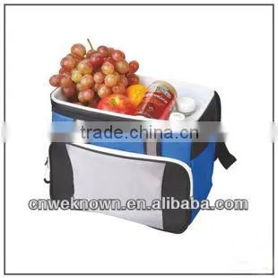 Car Fridge 12V