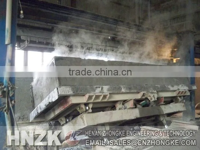 Fly ash aac block production plant/AAC production line