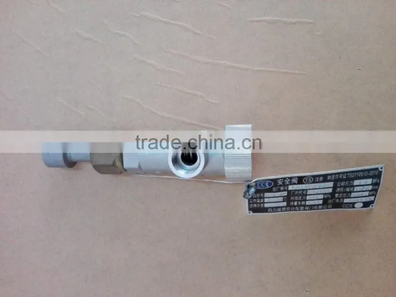 DN25 2.42MPa Safety Valve