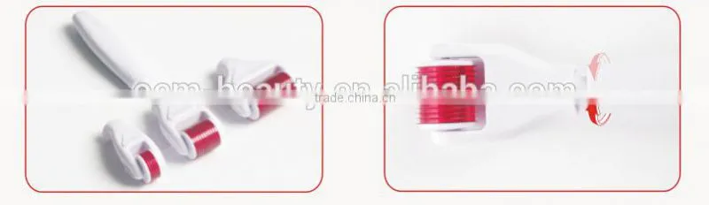 Hair loss treatment 4 in 1 dermaroller, micro rolling system with CE certificate-L013C
