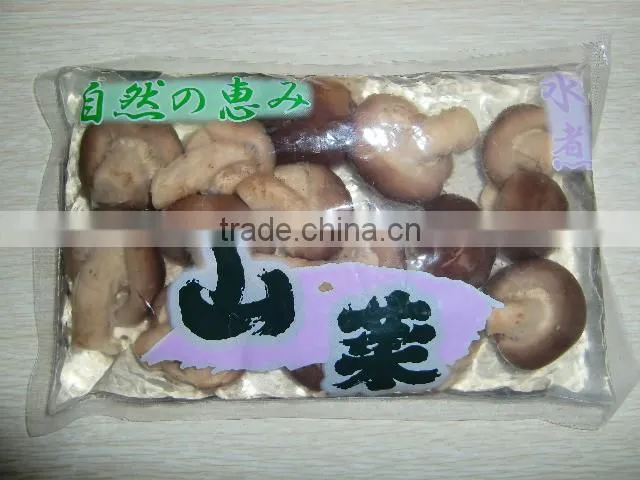 shiitake mushroom preserved mushrooms 1kg china supplier
