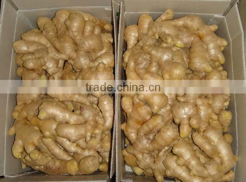 2014fresh air dried ginger