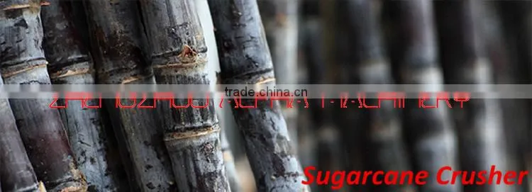 Hot sale!Sugarcane juicer/sugarcane juice machine/sugar cane juicer