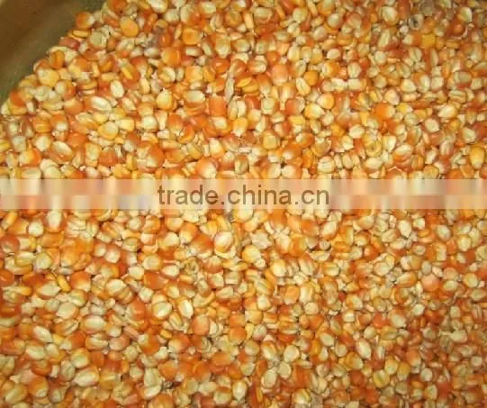 newest technology corn dryer made in China for sale