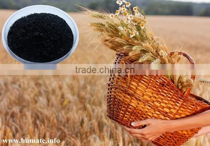 Fermented Seaweed extract,alginic acid soluble fertilizer,organic biological fertilizer