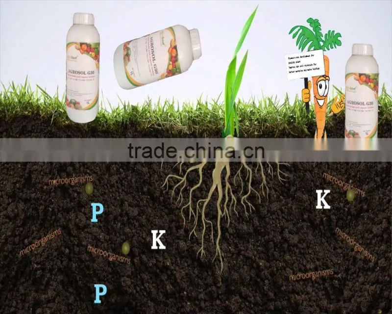 Agrolink high quality G30 Amino Acid And Humic Acid Liquid Fertilizer Widely In Agriculture