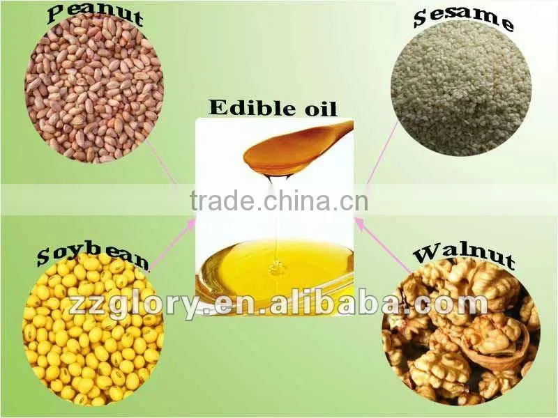 HOT SALE 6YL-120 Oil press