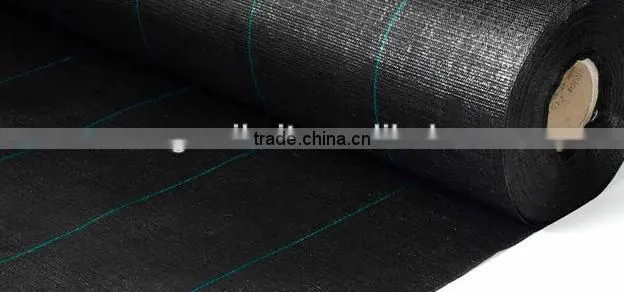 plain woven 12x12 mesh plastic weed mat