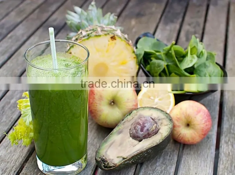 2016 New promotion slow juicer machine HJ-MN019