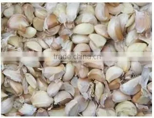 Factory wholesale Garlic Processing machine (video)