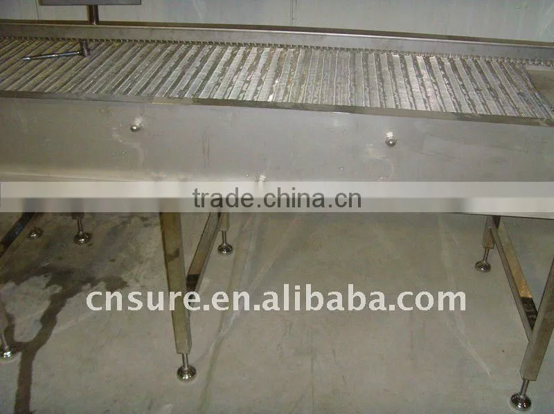 food grade belt conveyor system