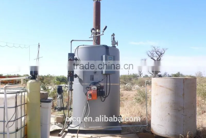 gas or oil steam boiler