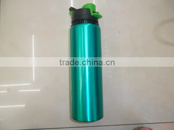 Custom Stainless Steel Bottle/Travel Sports Bottle