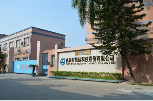 Dongguan Zhaoshun Organic Silicon Technology Co., LTD company overview - view 1