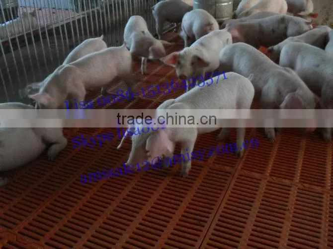 corral for weaned pig