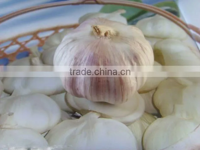 Pure White Garlic