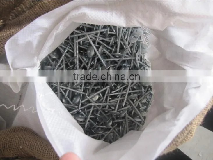 GALVANIZED UMBRELLA HEAD ROOFING NAILS FOR KENYA MARKET