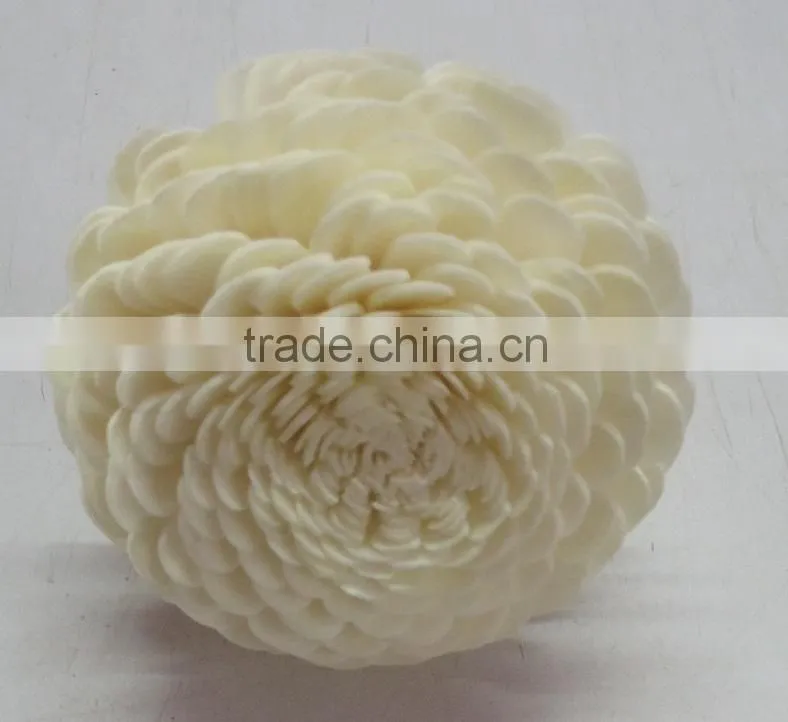 sola flower