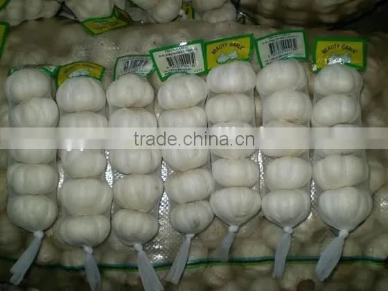 chinese garlic price