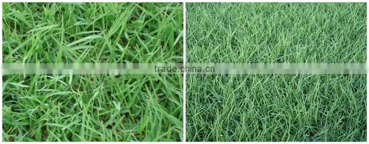 Huminrich Shenyang SH9040-1 Blackgold Humate Compost Fertilizer Price