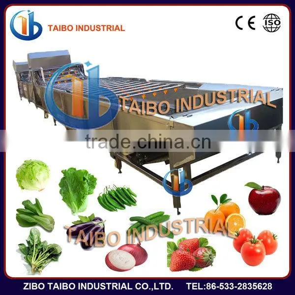 Ozone Fruit and Vegetable Washer /Vegetable Washing Machine