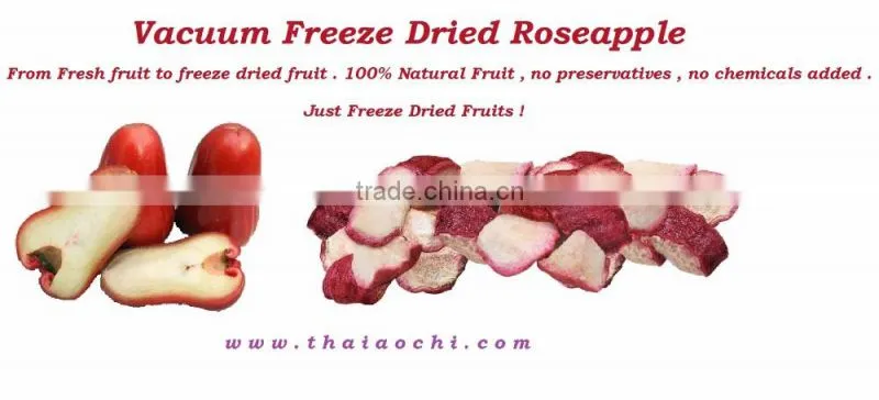 Freeze dried Roseapple fruit slices from Thailand