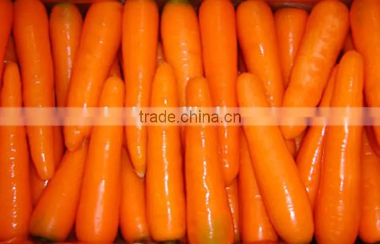 fresh preserved carrots