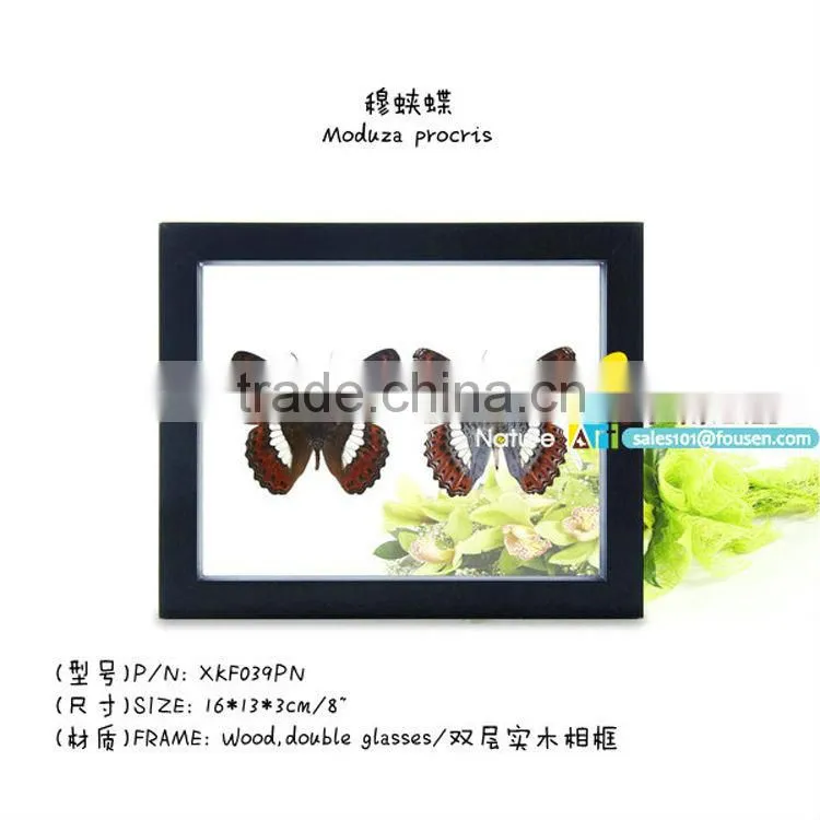 FOUSEN(039) Nature& Art natural gifts and crafts glass handicraft