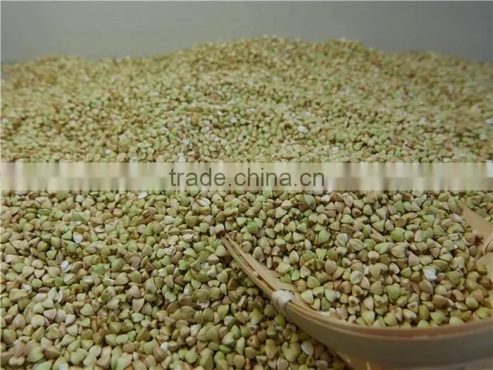 Chinese best raw buckwheat kernel