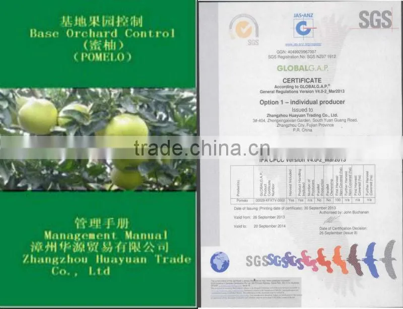 Fresh Guanxi honey pomelo