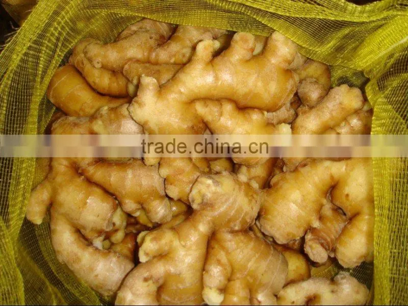 Fresh Ginger for Sell/USA MARKET/Long beach