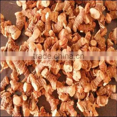 New Crop Galanga Root
