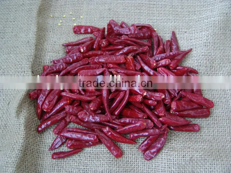 spices chinese dry red hot chilli pepper 2013 crop
