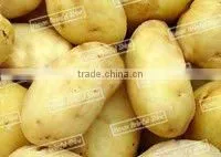 Stainless steel industrial rock and chips machine