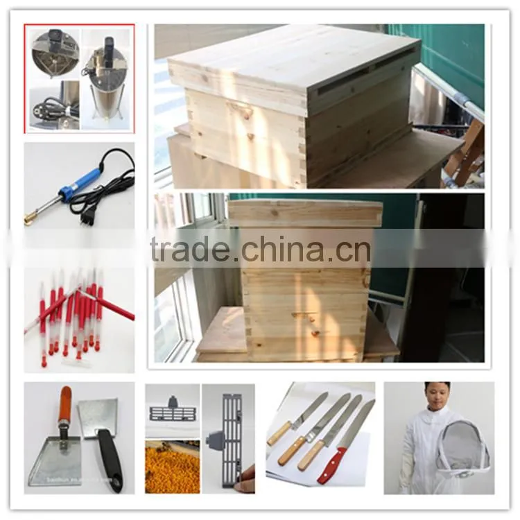 natural beeswax foundation sheet and plastic beeswax foundation sheet from China manufacturer