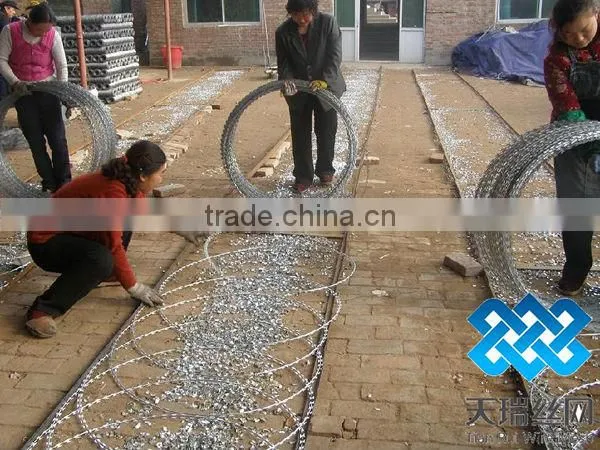 High quality galvanized razor wire with clips