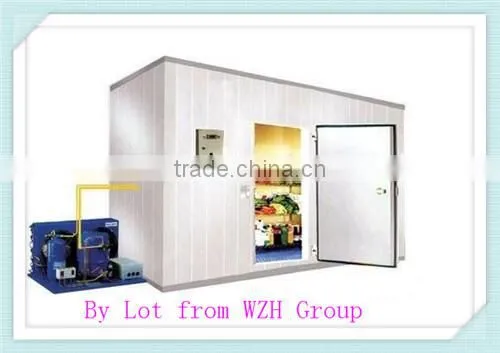 Bitzer compressor cold room price to store block ice for Africa