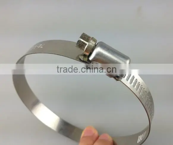 304SS T clamps and 304SS silicone hose clamp