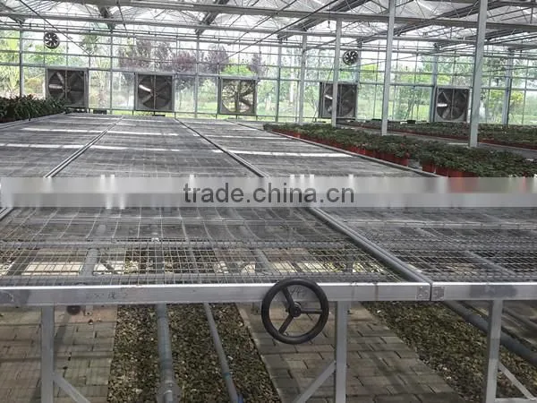 Commercial Glass Greenhouse