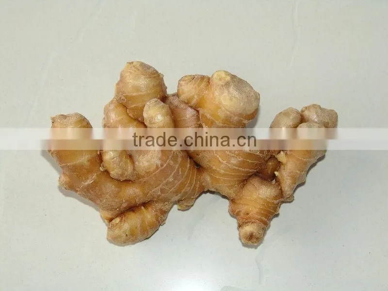 new chinese fresh ginger